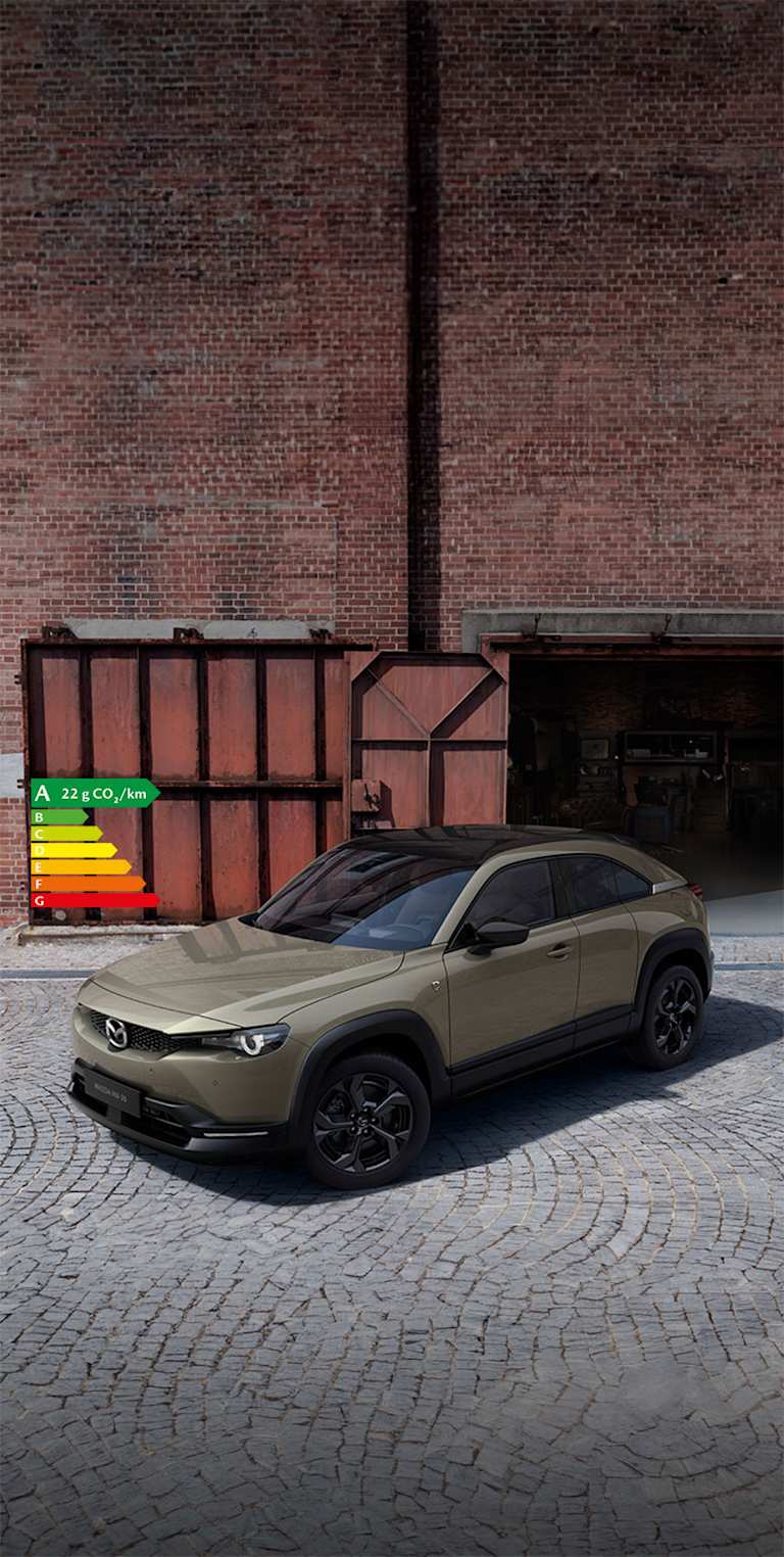 CHIC, SPORTIF ET LUXUEUX