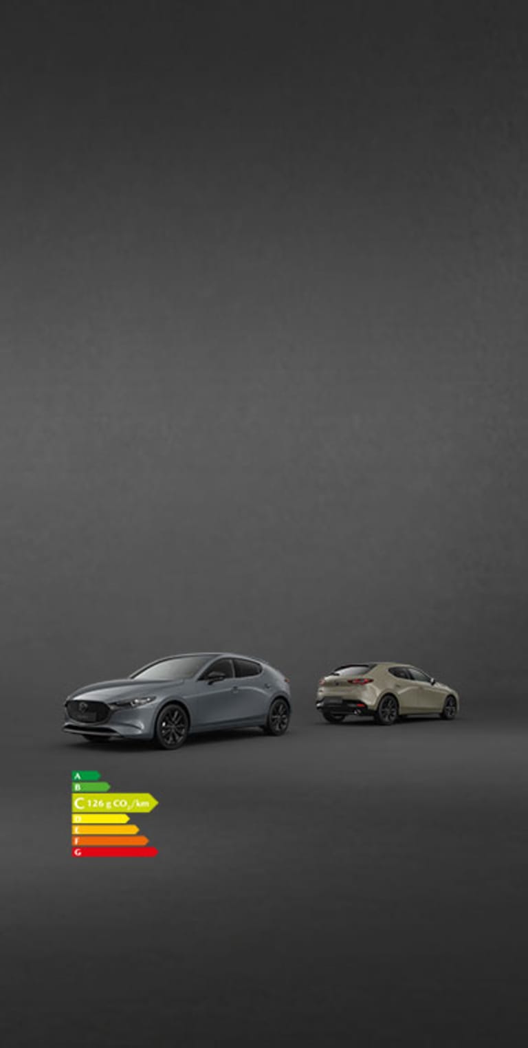 l'éveil de la passion