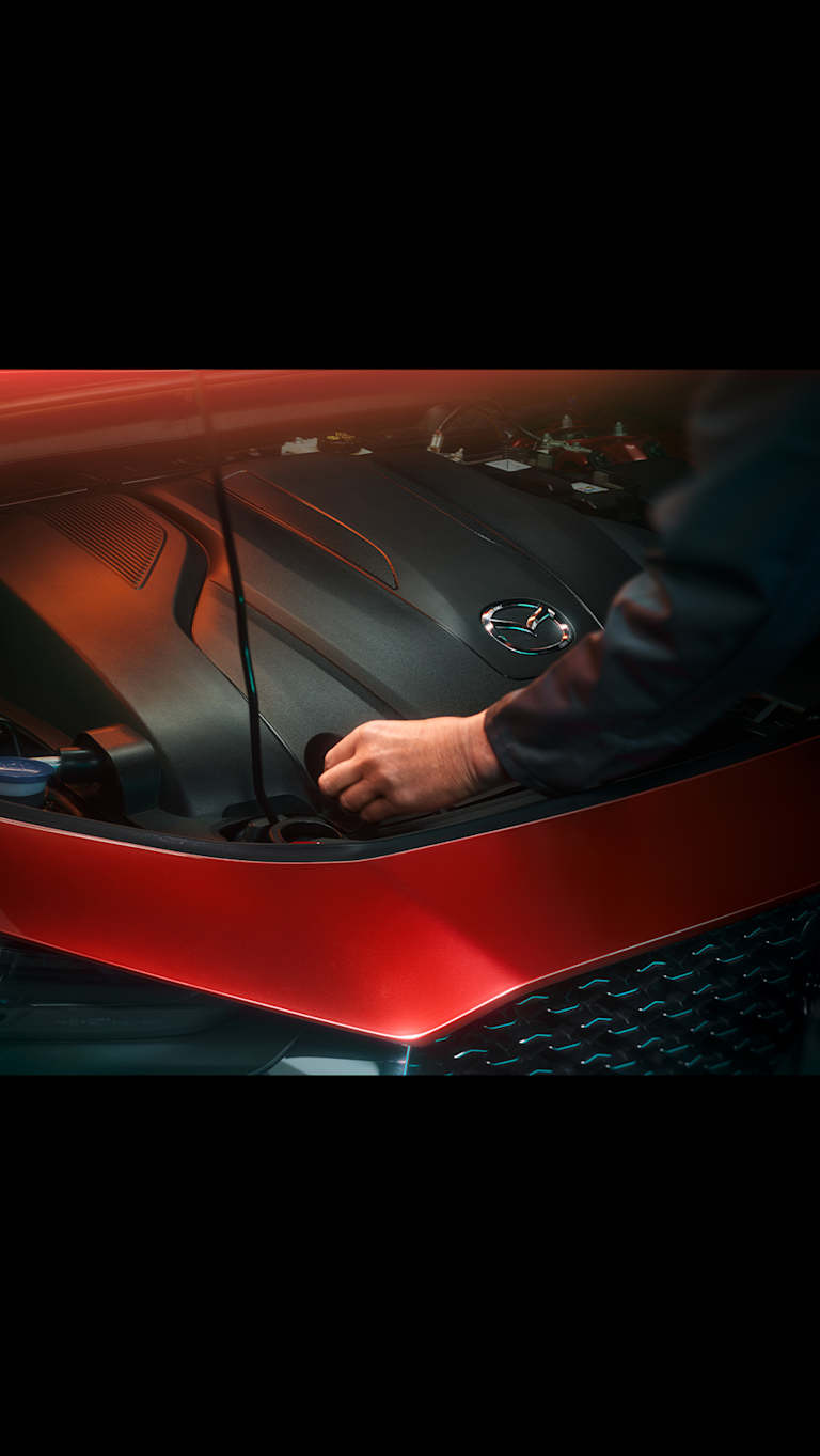 Opcijsko produljeno jamstvo