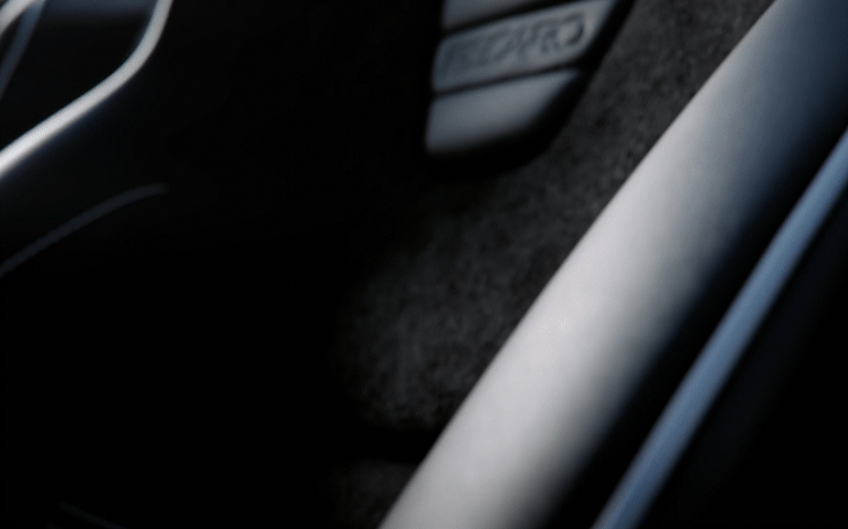 Шкура спортивная RECARO