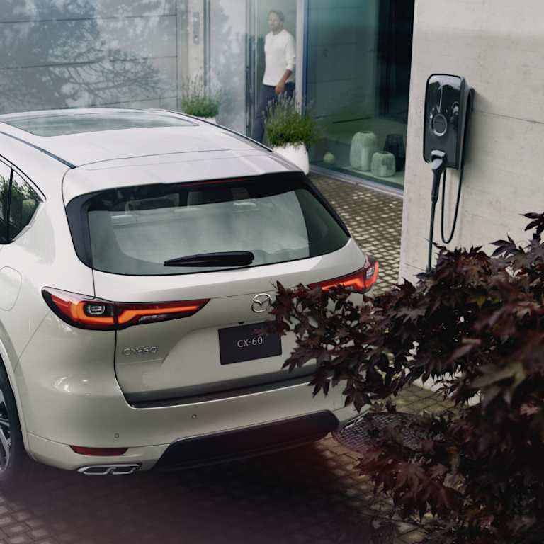 MILD HYBRID