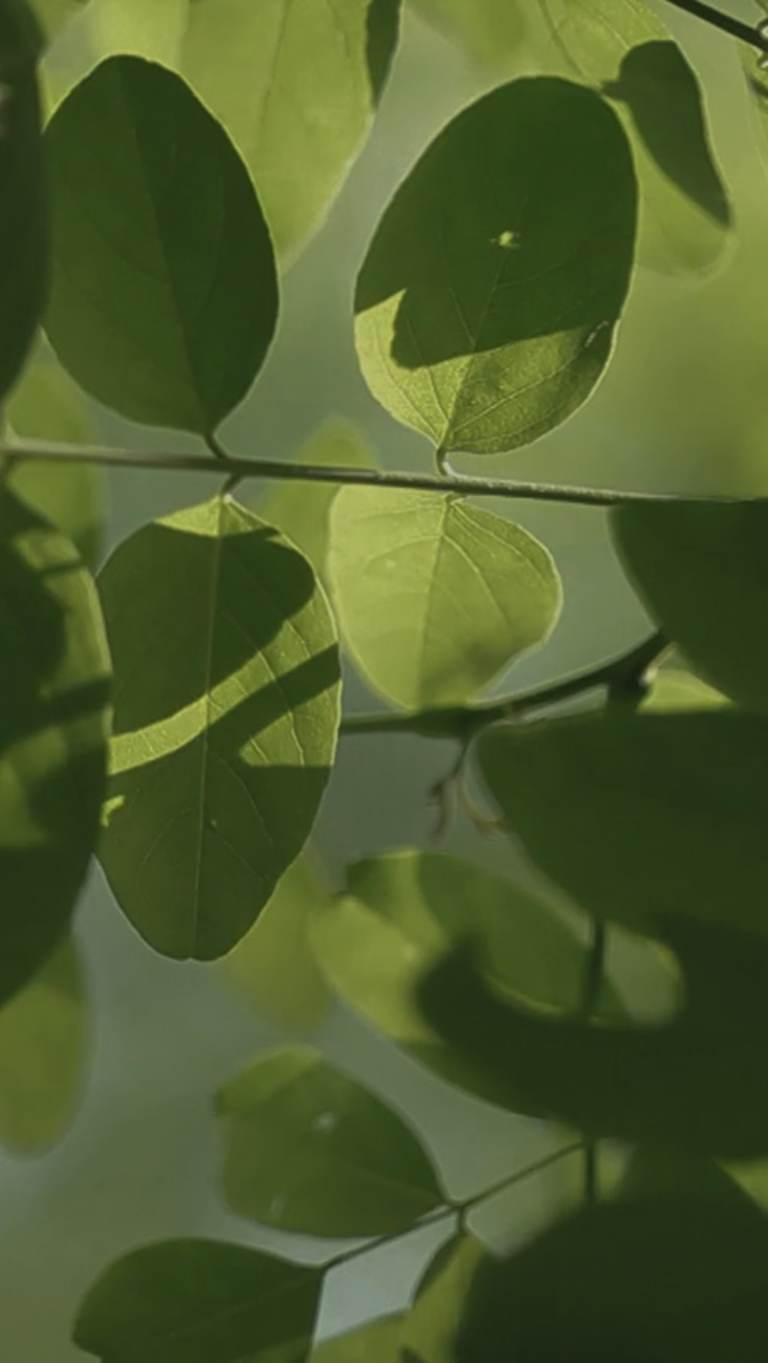 Un viaggio verso la sostenibilità