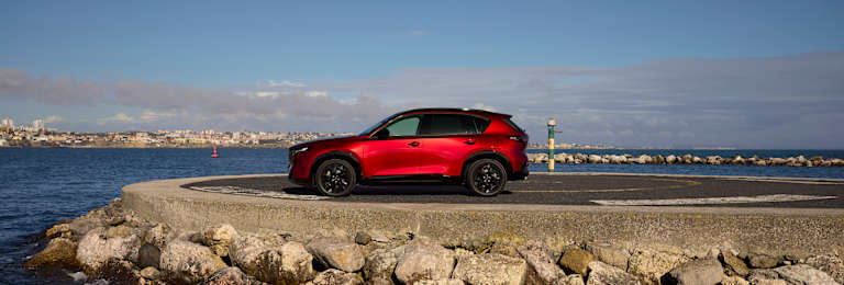 ZORGELOOS HET VOORJAAR TEGEMOET