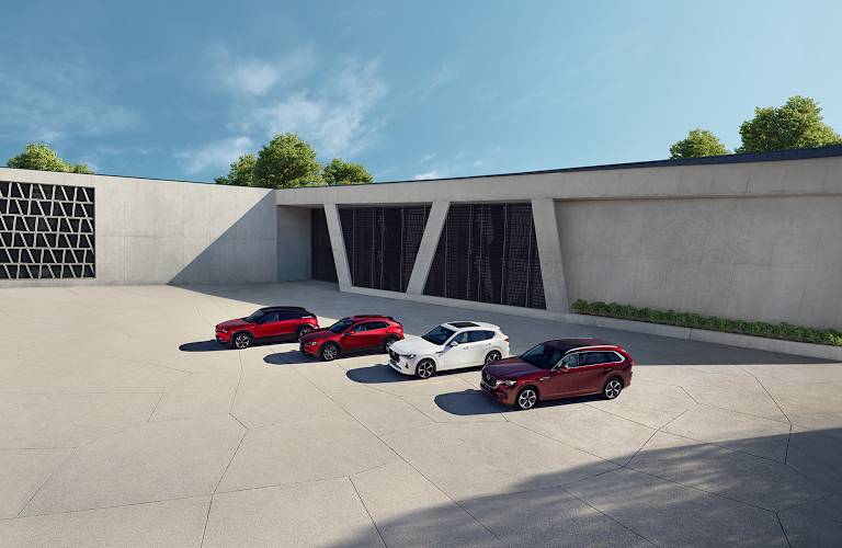 Elektrisch en Hybride