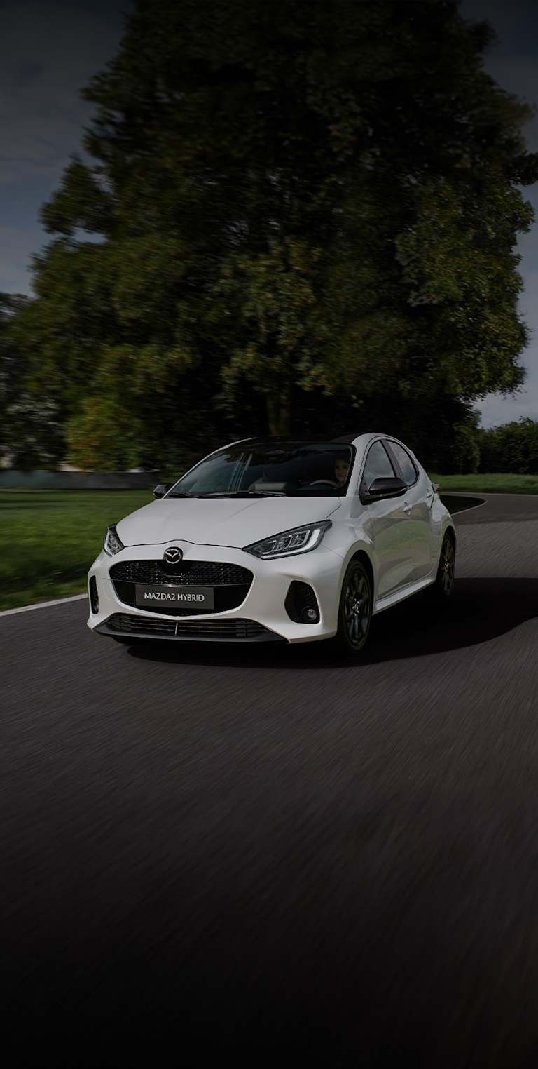 Ontdek alles over Hybride