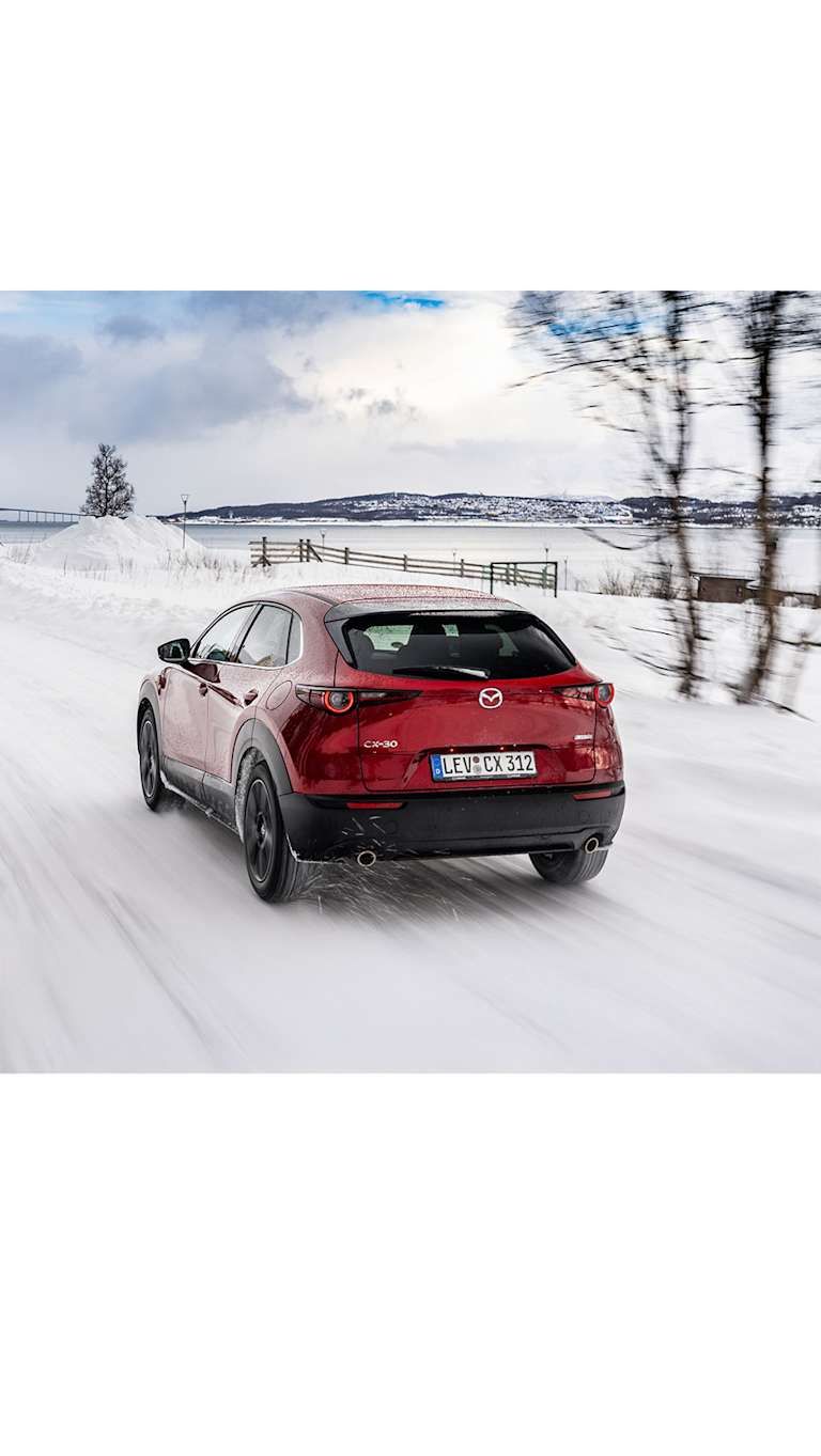 RIJDEN IN DE WINTER: EEN KUNST OP ZICH