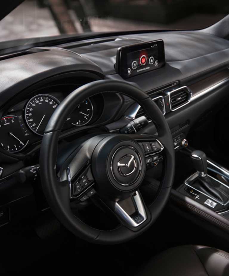 BIL OG FØRER I PERFEKT HARMONI