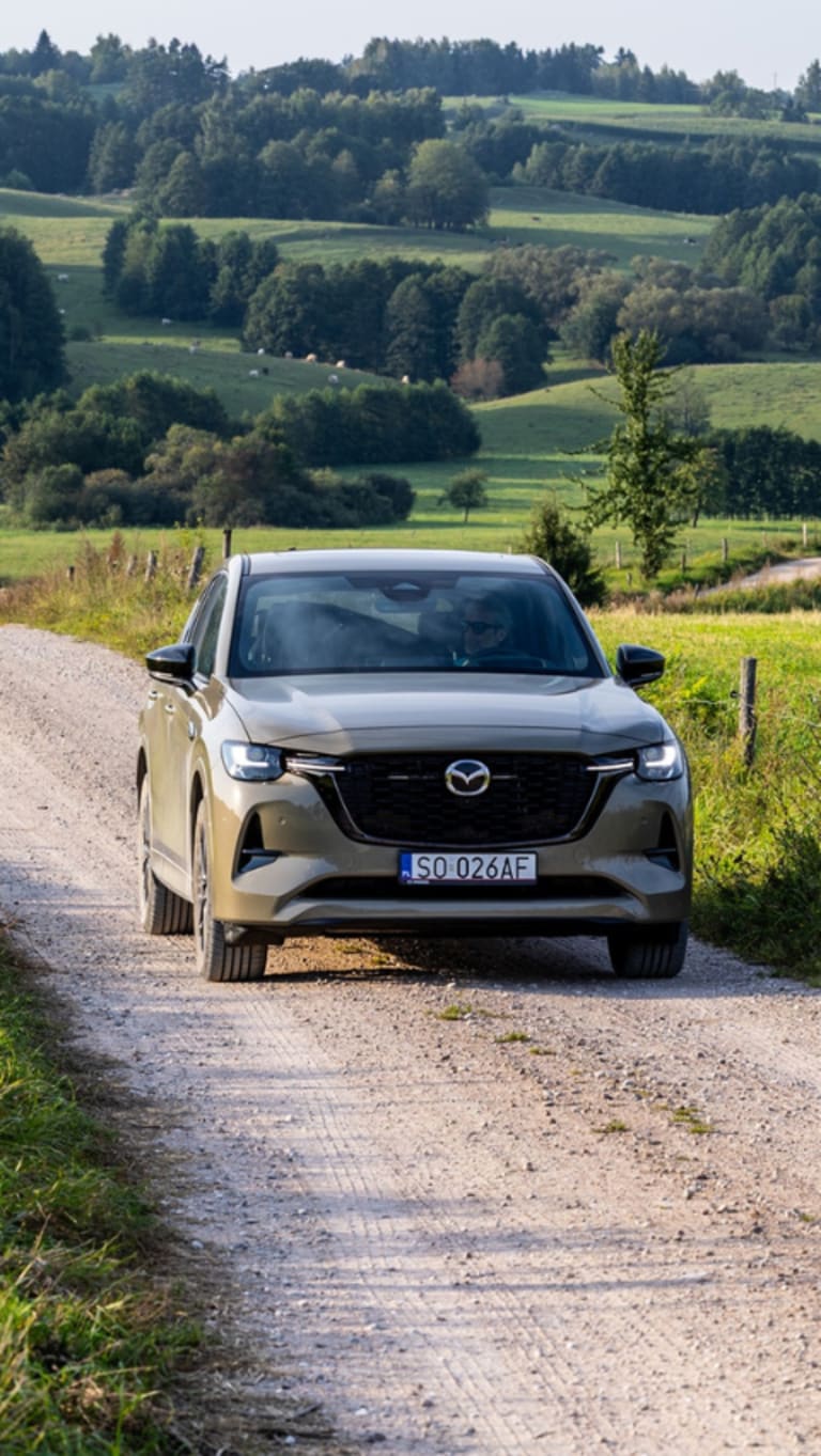 Jesienny Slow Road i poszukiwania dinozaurów – pomysły na rodzinne wycieczki