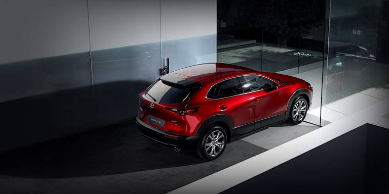 Potrzebujesz auta z dużym bagażnikiem? To modele dla Ciebie!