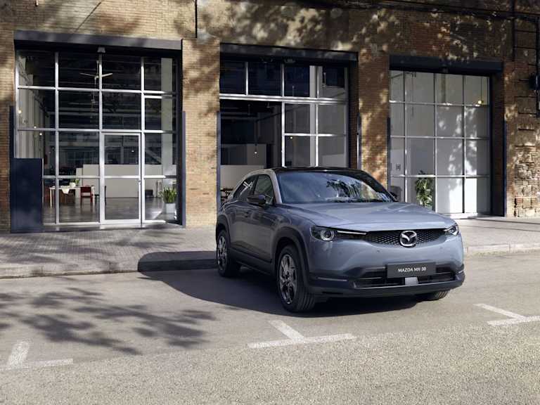 Wielka trójka – rodzaje pojazdów elektrycznych