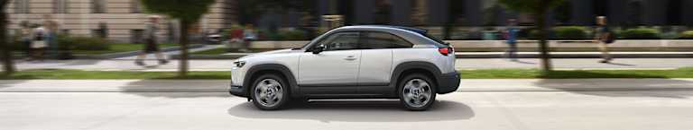 Zielone tablice rejestracyjne – co oznaczają? Jakie uprawnienia dają?