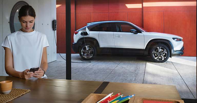 ŁADOWARKA DOMOWA WALLBOX