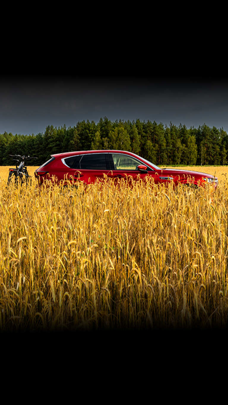 AKCESORIA NA LETNIE PODRÓŻE