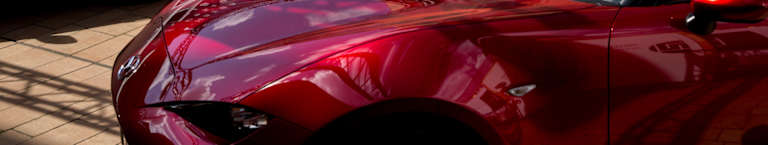 Stawiamy czoła przeciwnościom