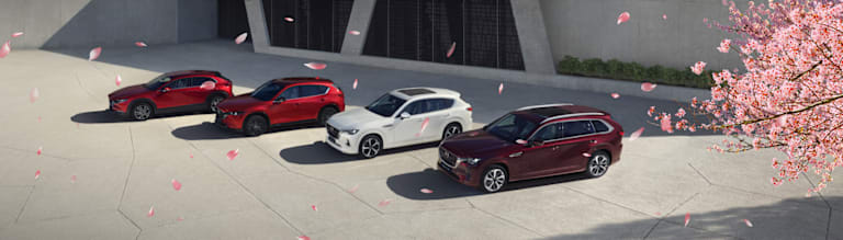 Donalds Dealership Offers