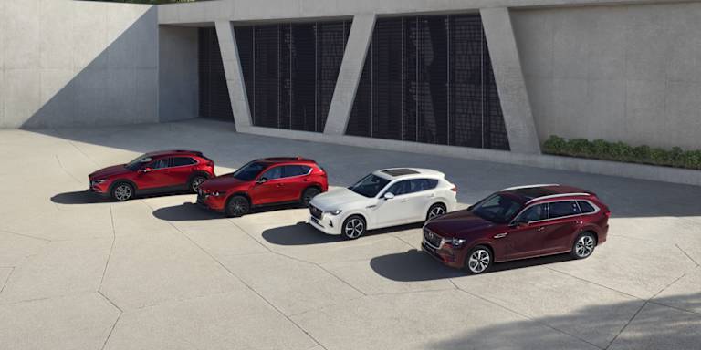 Mazda Fleet Case Studies