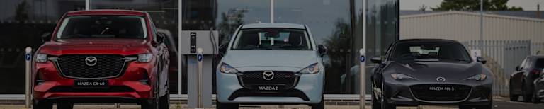 Dealership Offers