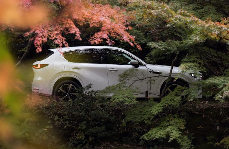 Mazda Used Car Event