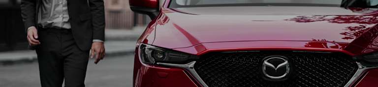 Head office opportunities