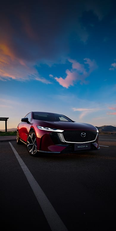 <p style="color: black;">Elektrisierend elegant - wahlweise mit 2 Batterieoptionen