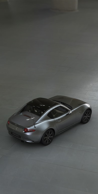 Le luxe dans l’esprit classique