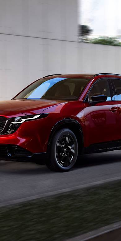 NEJKRÁSNĚJŠÍ CESTA NIKDY NEKONČÍ