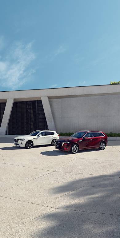 Nur in limitierter Menge