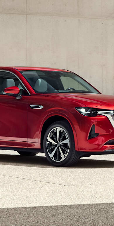 Für alles, was das Leben bereit hält