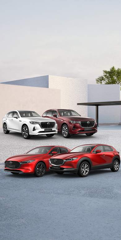 des avantages client