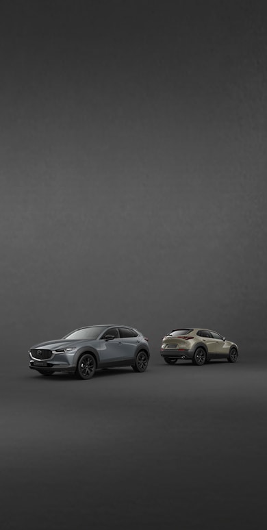 PURE LUXE EN DYNAMIEK