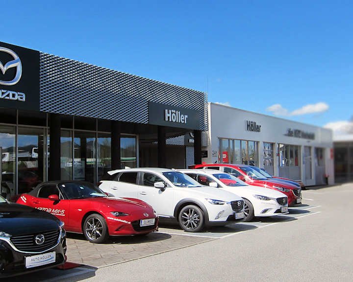 Auto Höller
