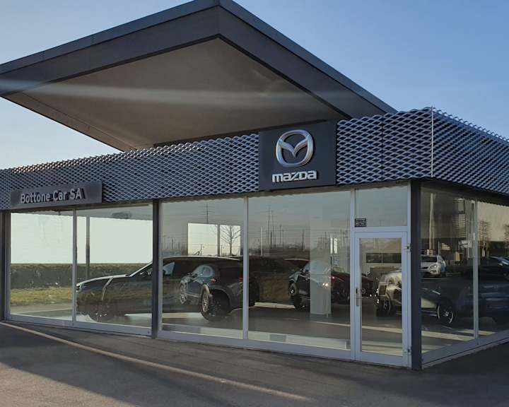 #{dealerWebsitePageName}