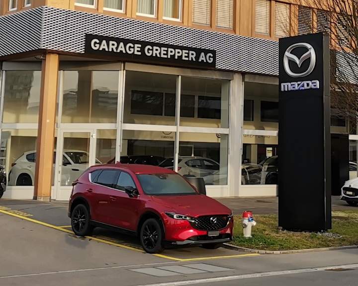 #{dealerWebsitePageName}