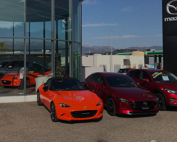 #{dealerWebsitePageName}