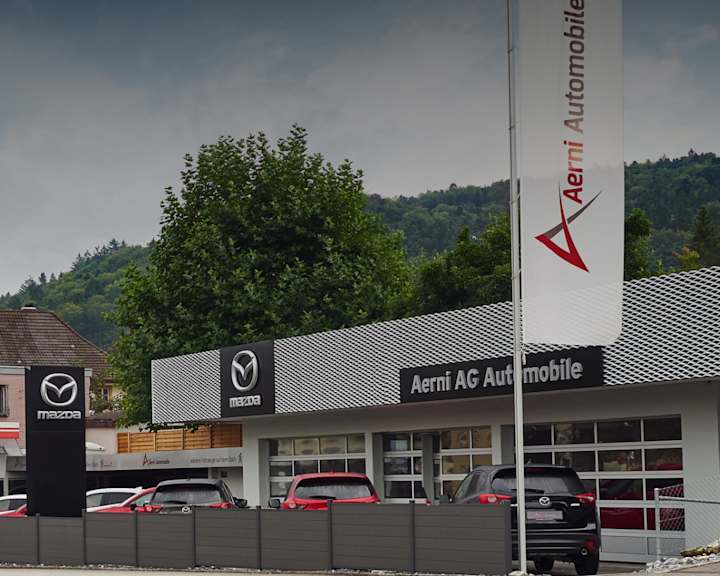 #{dealerWebsitePageName}