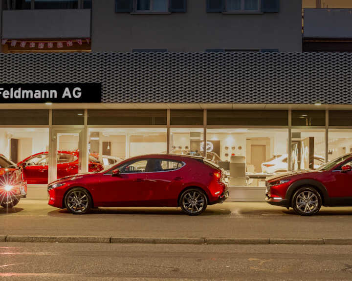 #{dealerWebsitePageName}