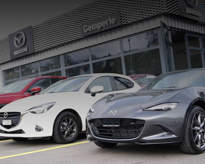 #{dealerWebsitePageName}