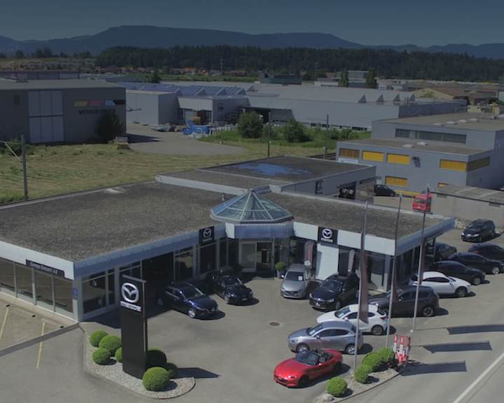 #{dealerWebsitePageName}