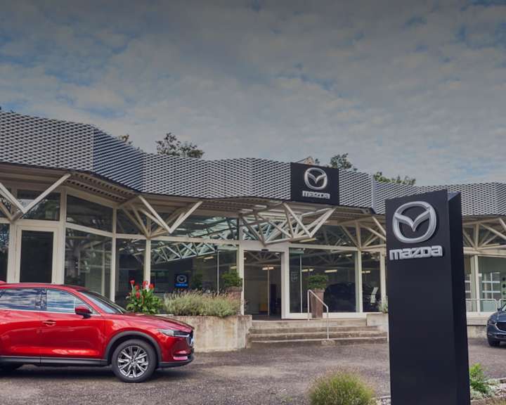 #{dealerWebsitePageName}