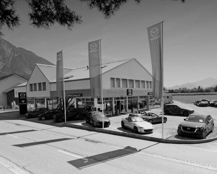 #{dealerWebsitePageName}