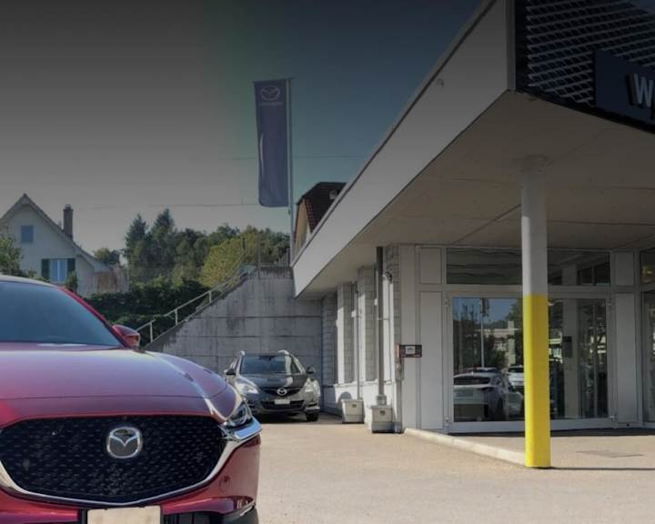 #{dealerWebsitePageName}