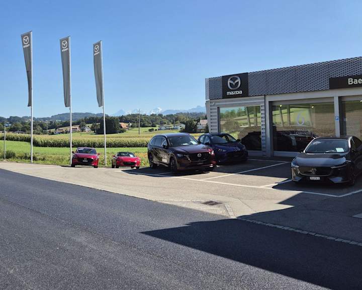 #{dealerWebsitePageName}