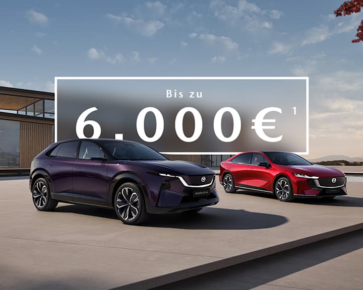 Jetzt einsteigen <br />und staatliche <br />E-Förderung<br /> sichern