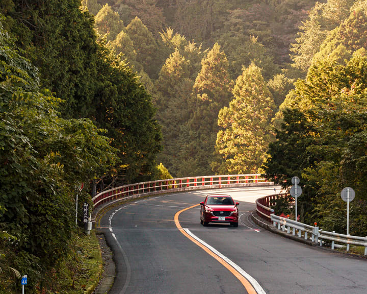DIE STRASSE NACH HAKONE