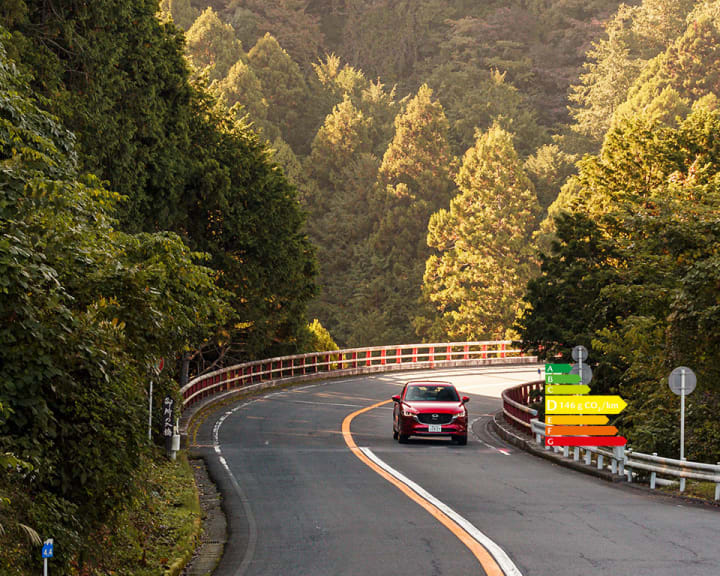 SUR LA ROUTE D’HAKONE