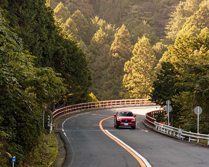 PUT DO HAKONEA