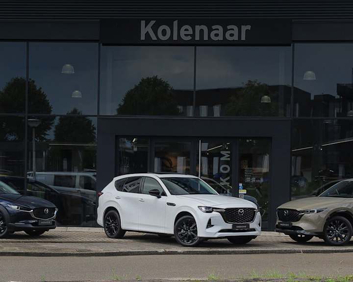 Kolenaar