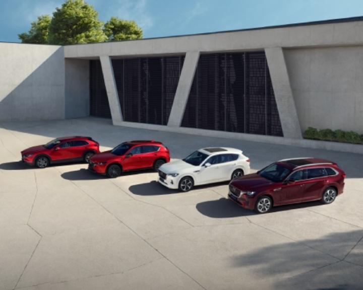 #{dealerName} <br />MAZDA APPROVED USED CARS