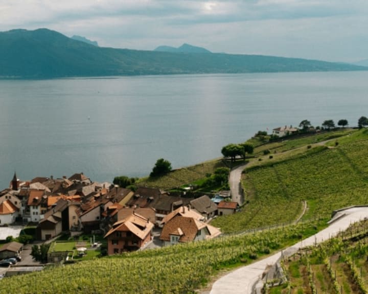 DES ROAD TRIPS INOUBLIABLES