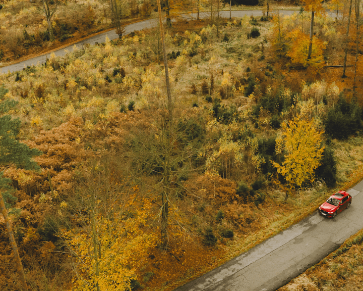 ROADTRIPS OM NOOIT TE VERGETEN